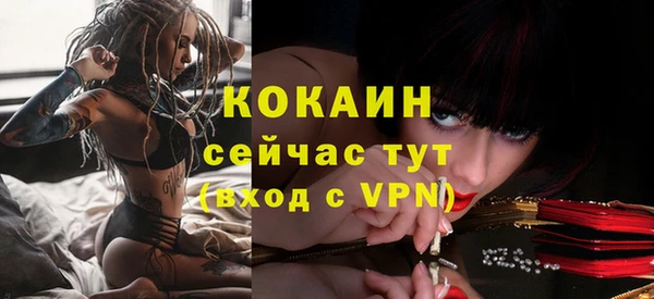 шишки Пестово