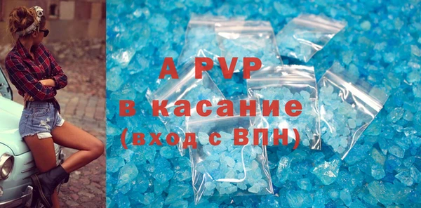 шишки Пестово