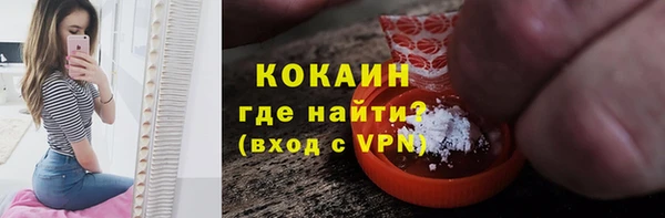 шишки Пестово