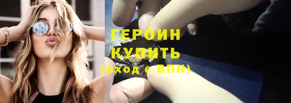 индика Заводоуковск