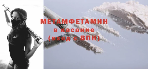 шишки Пестово