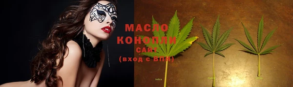 шишки Пестово