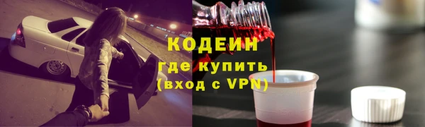 шишки Пестово