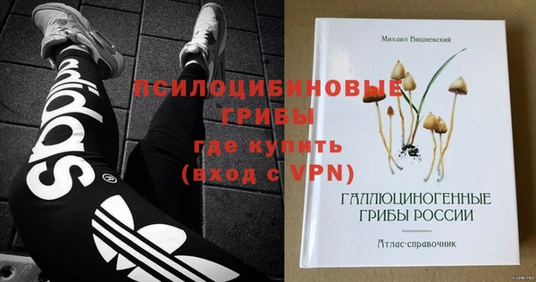 ешки Переславль-Залесский