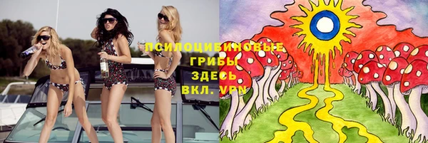 шишки Пестово