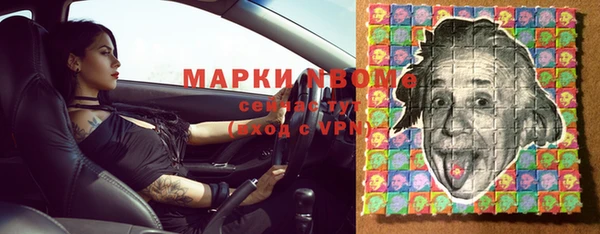 шишки Пестово