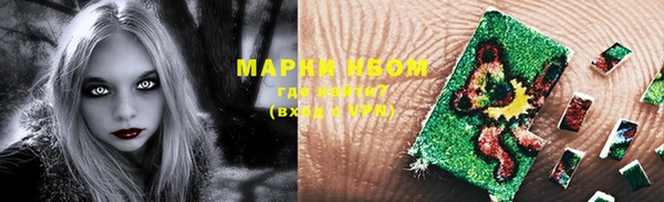 шишки Пестово