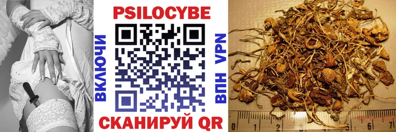 Галлюциногенные грибы Psilocybine cubensis  что такое   Сегежа 