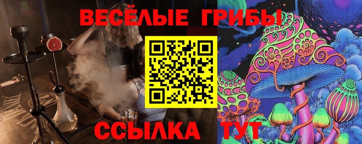Сегежа  Галлюциногенные грибы мухоморы  Галлюциногенные грибы MAGIC MUSHROOMS  Вход с VPN 